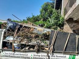 Best Residential Junk Removal  in Pollock Pines, CA